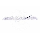 Flexible de Frein Arrière Droit Pour VW Audi Seat Skoda 1J0611764AD 1J0611764K