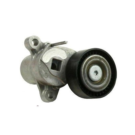 Galet tendeur courroie accessoire B-MAX Ecosport Transit/Tourneo 1.0 1761930