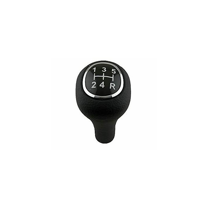 Pommeau de vitesse Ford Focus 1998-2004 1069044