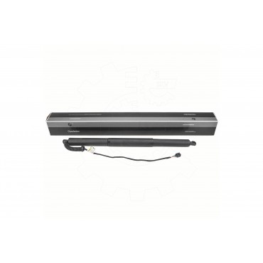 Vérin Hayon de Coffre Pour Audi A5 8W8827851 8W8827851A 8W8827851C 8W8827851D