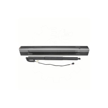 Vérin Hayon de Coffre Pour Audi A5 8W8827851 8W8827851A 8W8827851C 8W8827851D