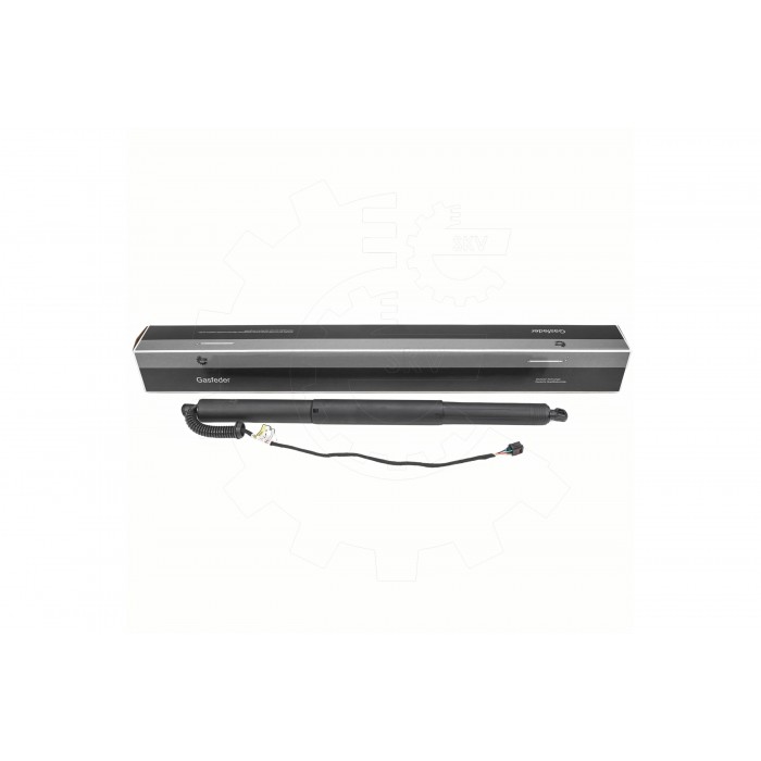 Vérin Hayon de Coffre Pour Audi A5 8W8827851 8W8827851A 8W8827851C 8W8827851D