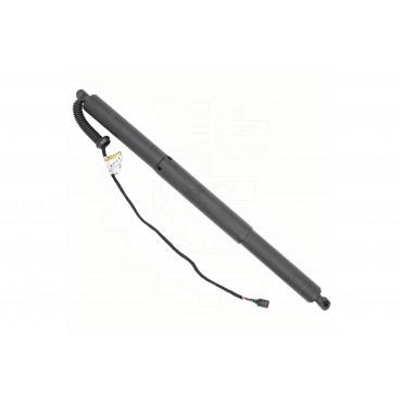 Vérin Hayon de Coffre Pour Audi A5 8W8827851 8W8827851A 8W8827851C 8W8827851D