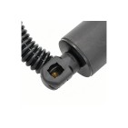 Vérin Hayon de Coffre Pour Audi A5 8W8827851 8W8827851A 8W8827851C 8W8827851D