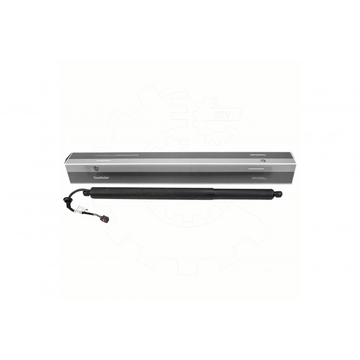 Vérin Hayon de Coffre Pour Audi E-Tron 4KE827851 4KE827851A 4KE827851B