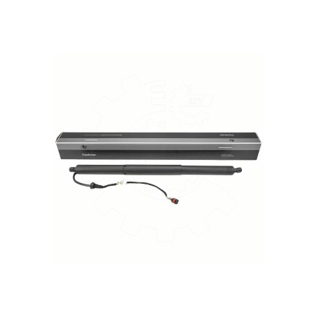 Vérin Hayon de Coffre Pour Audi Q2 81A827851