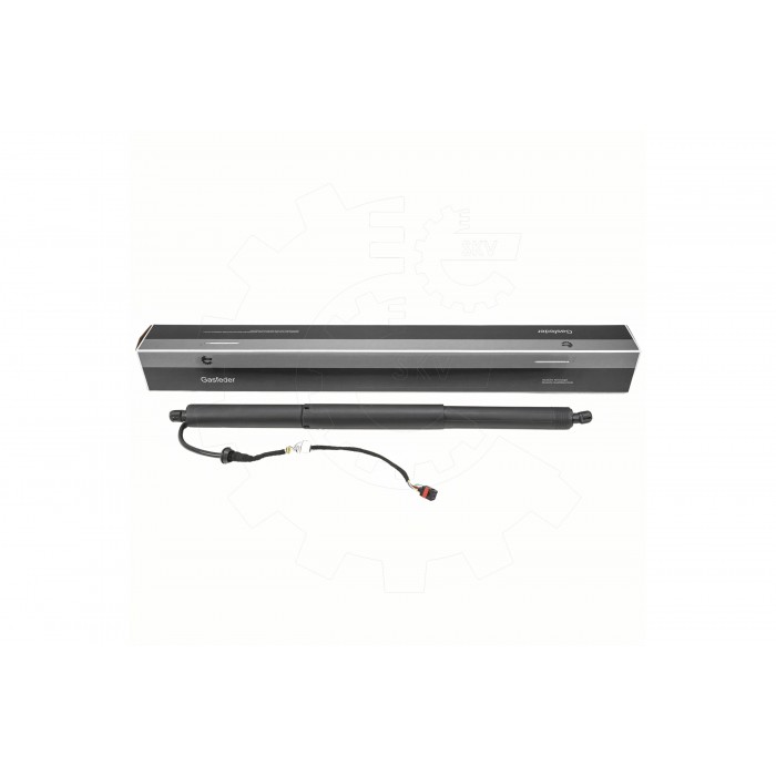 Vérin Hayon de Coffre Pour Audi Q2 81A827851
