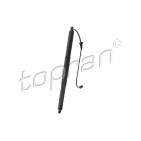 Vérin Hayon de Coffre Pour Audi Q2 81A827851 81A827851A 81A827851B 81A827851C