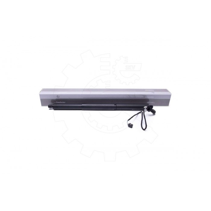 Vérin Hayon de Coffre Pour Audi Q3 8U0827851 8U0827851A 8U0827852
