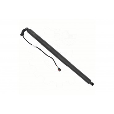 Vérin Hayon de Coffre Pour Audi Q3 83A827851 83A827851A 83A827851B 83A827851D