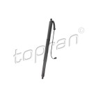 Vérin Hayon de Coffre Pour Audi Q5 80F827851 80F827851A 80F827851B