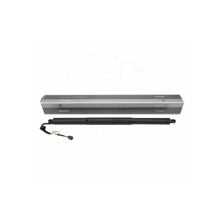 Vérin Hayon de Coffre Pour Audi Q8 4M8827851D 4M8827851E 4M8827851F 4M8827851H