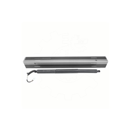 Vérin Hayon de Coffre Pour BMW X1 F48 51242696593 51247350837