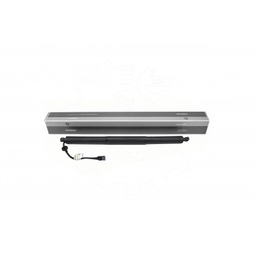 Vérin Hayon de Coffre Pour BMW X2 F39 51247423847 51249465654