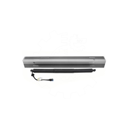 Vérin Hayon de Coffre Pour BMW X2 F39 51247423847 51249465654
