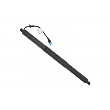 Vérin Hayon de Coffre Pour BMW X2 F39 51247423847 51249465654