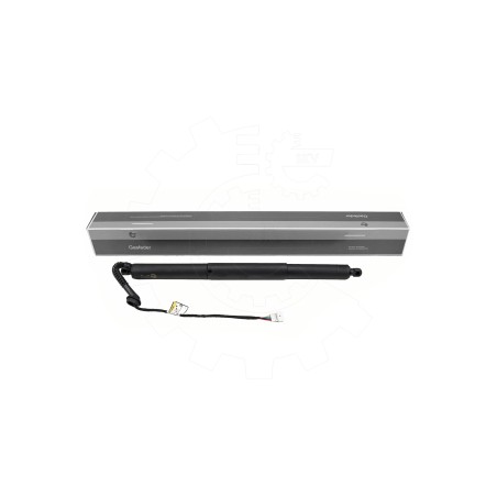 Vérin Hayon de Coffre Arrière Droit Pour BMW X5 F15, F85 4823280 51244823280