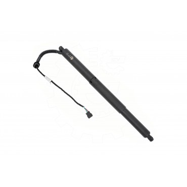 Vérin Hayon de Coffre Arrière Gauche Pour BMW X5 F15, F85 4823279 51244823279