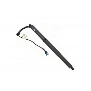 Vérin Hayon de Coffre Arrière Gauche Pour BMW X5 F15, F85 51247434041 7434041