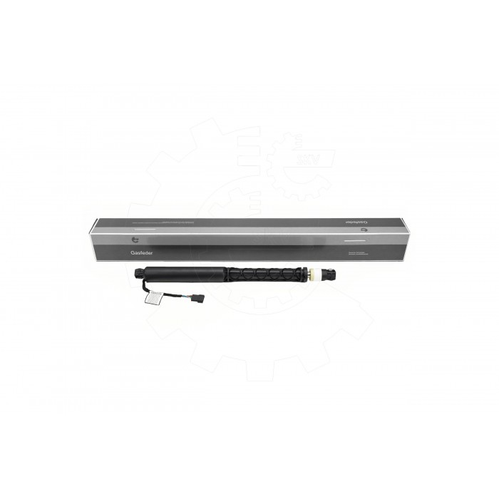 Vérin Hayon de Coffre Pour BMW X5 F95, G05 51247461669 51249482804