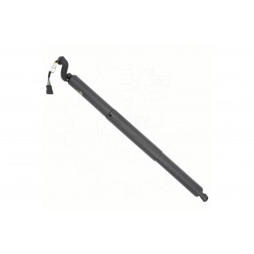 Vérin Hayon de Coffre Pour BMW X5 F95, G05 2696589 51242696589 51247348523