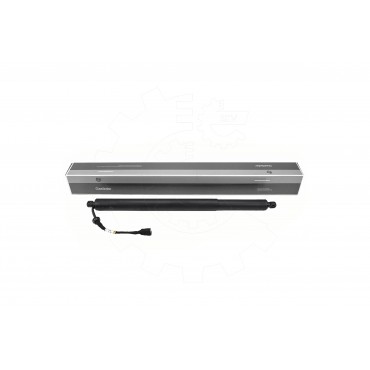Vérin Hayon de Coffre Pour BMW X5 F95, G05 51247441799 7441799