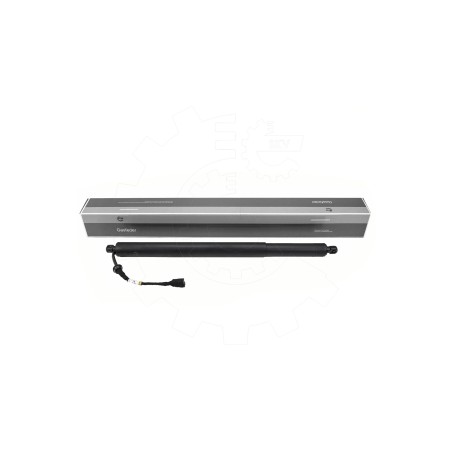 Vérin Hayon de Coffre Pour BMW X5 F95, G05 51247441799 7441799