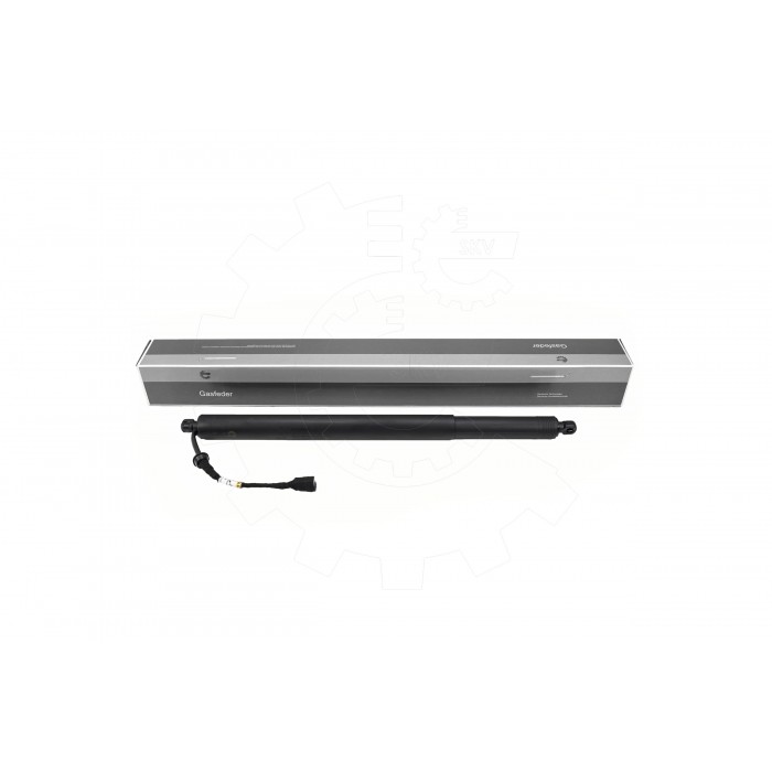 Vérin Hayon de Coffre Pour BMW X5 F95, G05 51247441799 7441799