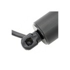 Vérin Hayon de Coffre Pour BMW X5 F95, G05 51247441799 7441799