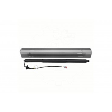 Vérin Hayon de Coffre Pour Ford Focus IV JX7BN406A10AE