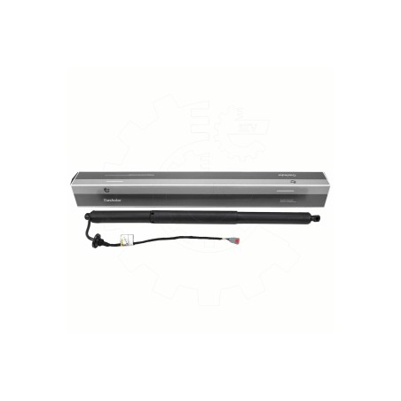 Vérin Hayon de Coffre Pour Ford Focus IV JX7BN406A10AE