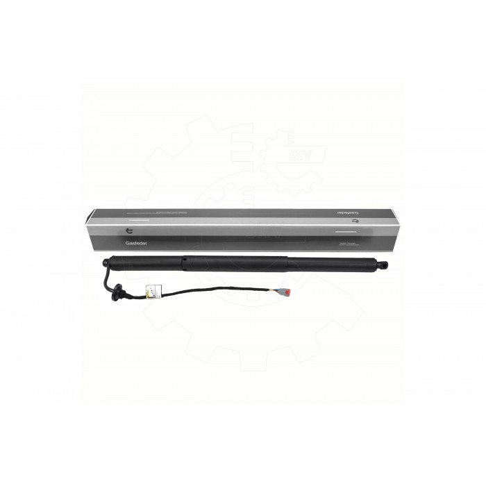 Vérin Hayon de Coffre Pour Ford Focus IV JX7BN406A10AE
