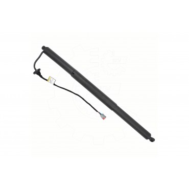 Vérin Hayon de Coffre Pour Ford Focus IV JX7BN406A10AE