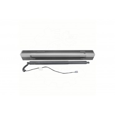 Vérin Hayon de Coffre Pour Ford Kuga III LV4BS402A54AB