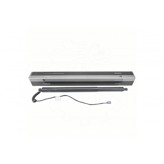 Vérin Hayon de Coffre Pour Ford Kuga III LV4BS402A54AB