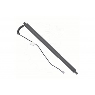 Vérin Hayon de Coffre Pour Ford Kuga III LV4BS402A54AB