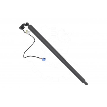 Vérin Hayon de Coffre Arrière Gauche Pour Honda Pilot 74961TG7305 74961TG7315