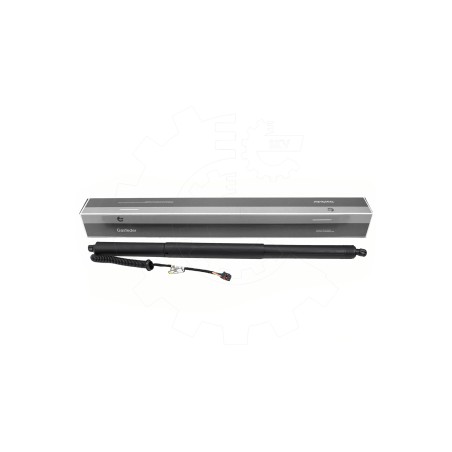 Vérin Hayon de Coffre Arrière Gauche Pour Hyundai Ioniq 5 81831GI000