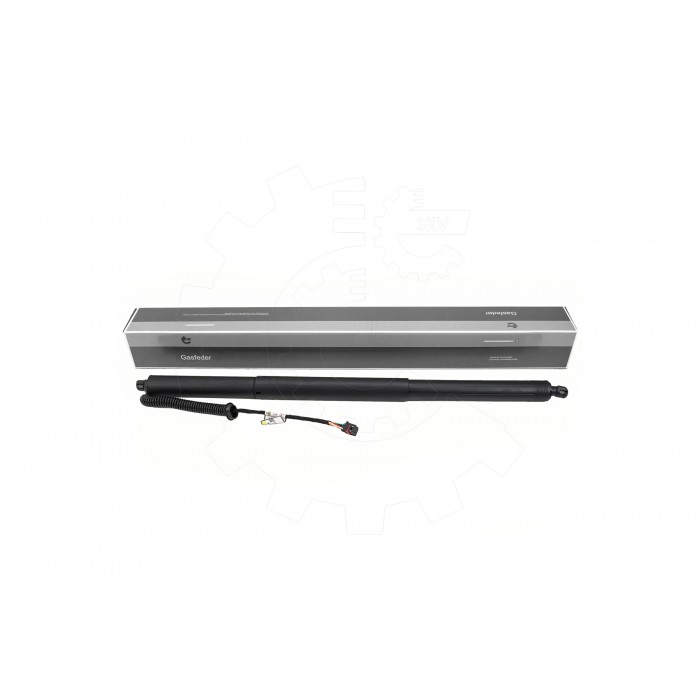 Vérin Hayon de Coffre Arrière Gauche Pour Hyundai Ioniq 5 81831GI000