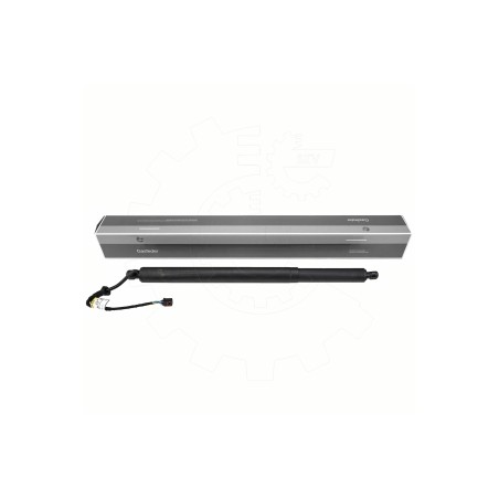 Vérin Hayon de Coffre Arrière Droit Pour Hyundai Santa Fé IV 81841S1100