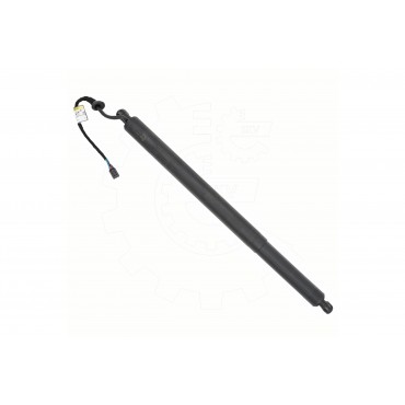 Vérin Hayon de Coffre Arrière Droit Pour Hyundai Santa Fé IV 81841S1100