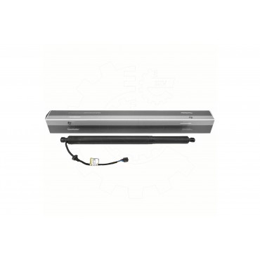 Vérin Hayon de Coffre Arrière Gauche Pour Hyundai Santa Fé IV 81831S1100
