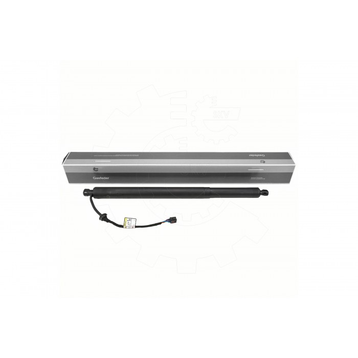 Vérin Hayon de Coffre Arrière Gauche Pour Hyundai Santa Fé IV 81831S1100