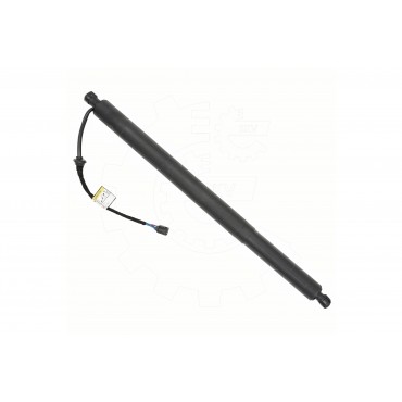 Vérin Hayon de Coffre Arrière Gauche Pour Hyundai Santa Fé IV 81831S1100