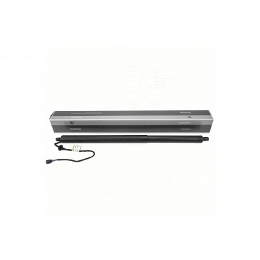 Vérin Hayon de Coffre Pour Infiniti QX50 II 905605NN0A