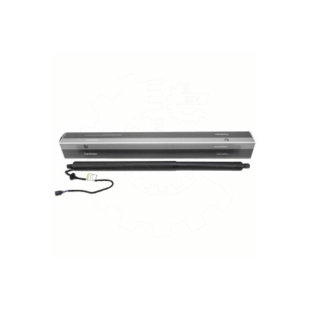 Vérin Hayon de Coffre Pour Infiniti QX50 II 905605NN0A