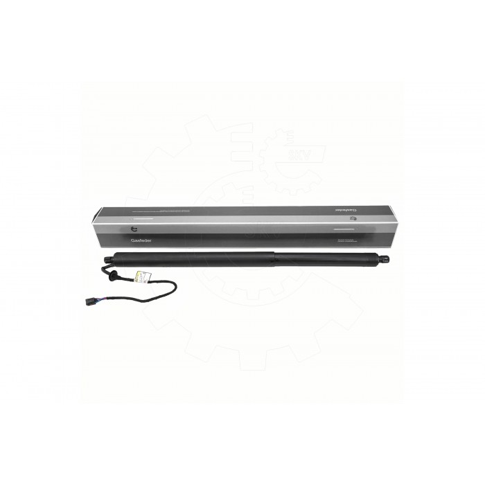 Vérin Hayon de Coffre Pour Infiniti QX50 II 905605NN0A