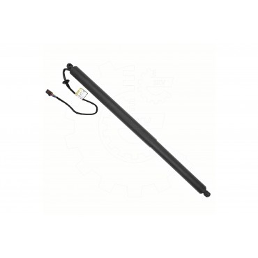 Vérin Hayon de Coffre Pour Infiniti QX50 II 905605NN0A