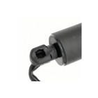 Vérin Hayon de Coffre Pour Infiniti QX50 II 905605NN0A