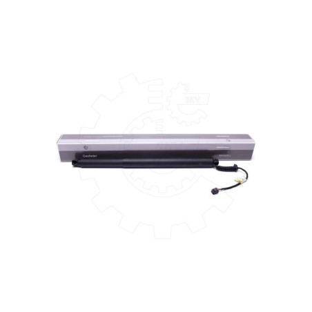 Vérin Hayon de Coffre Pour Kia Sorento III 81770C5100